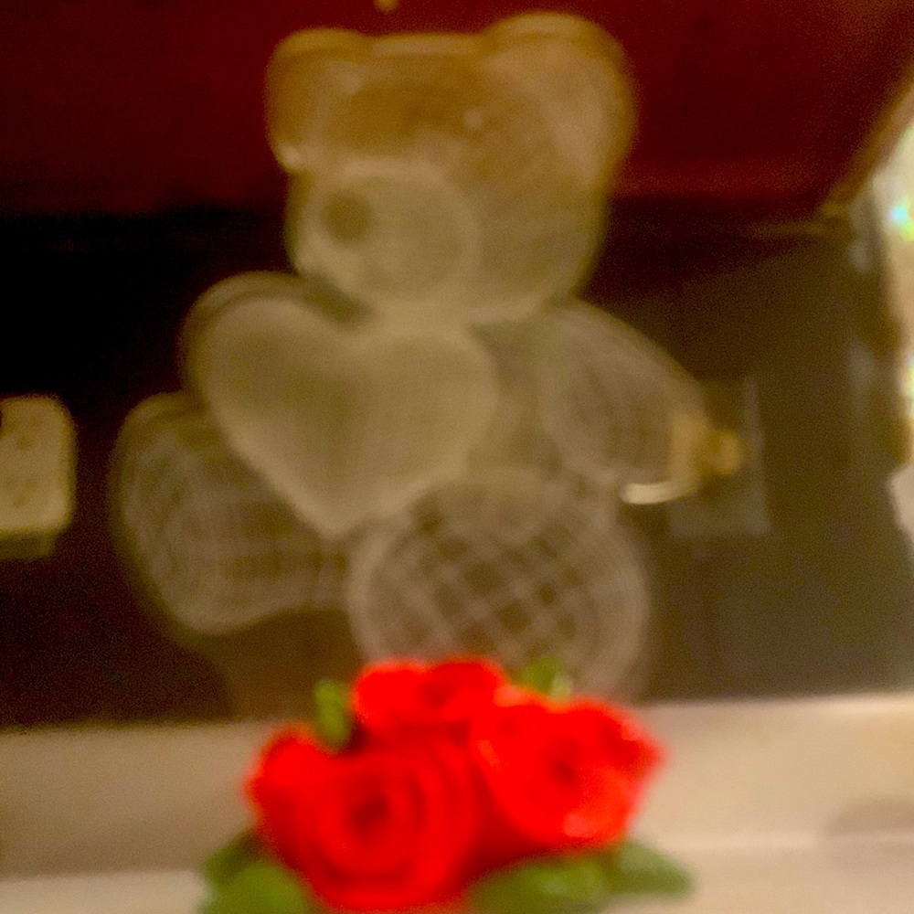 Teddy bear with roses led